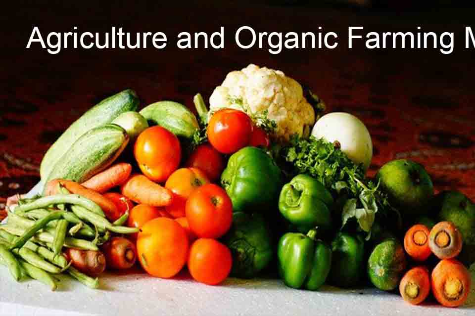 Agriculture and Organic Farming Modelo